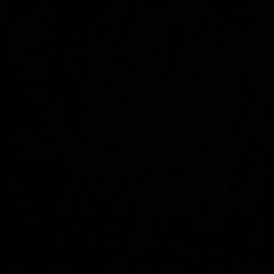 Meet your Posher, Abigail